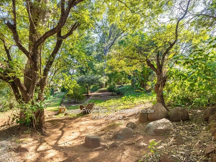 Unique Family Home With So Much To Offer - A Must See!!