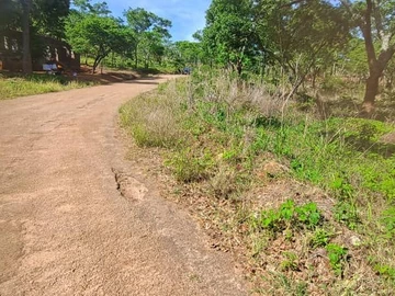 Farm & Agricultural Land