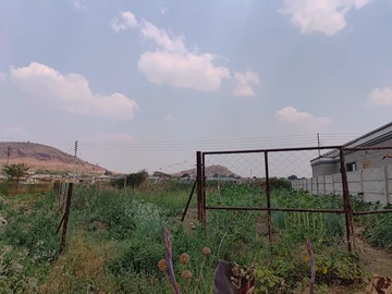 Stands & Residential Land