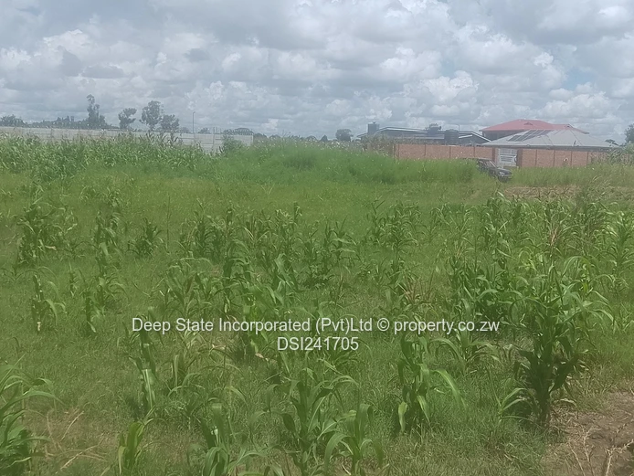 Avonlea Stand for sale 