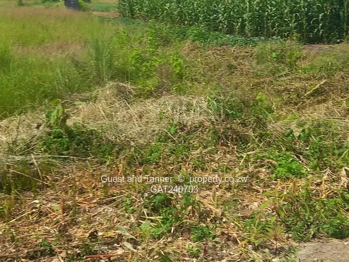 Prime 1318 m2 Serviced Residential Stand for Sale in Haydon Park