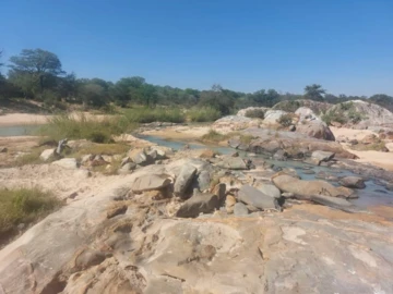Farm & Agricultural Land