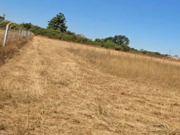 Farm & Agricultural Land