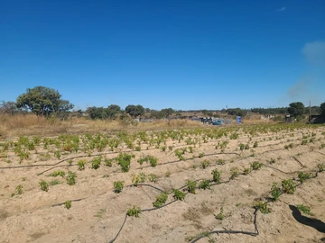 Farm & Agricultural Land