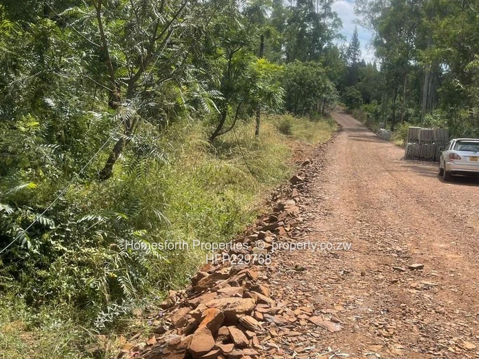 Carrick Creagh stand For Sale