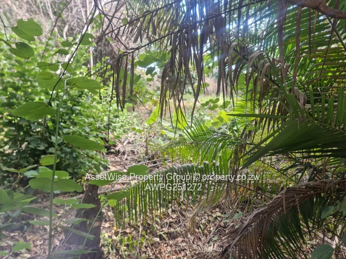 2100m² Tree-lined Commercial Plot in Avondale — Services