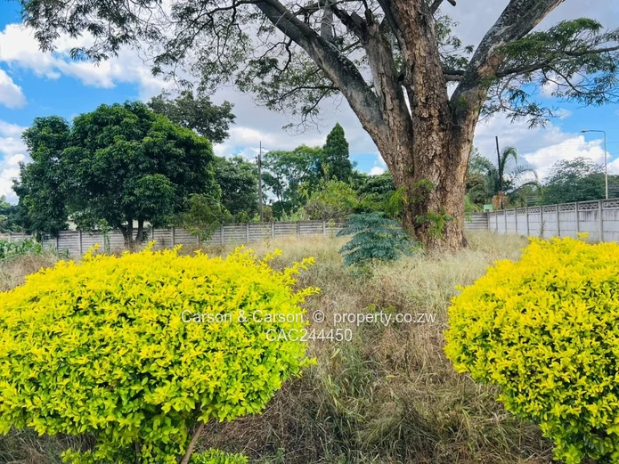 Subdivision stand for sale