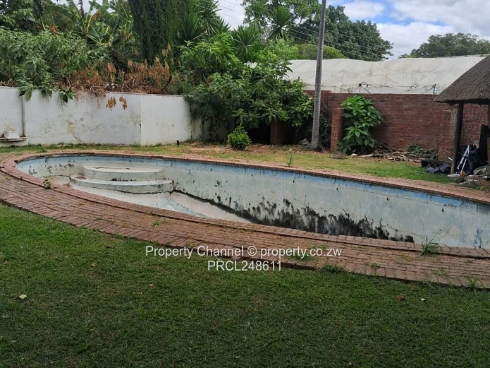 Commercial Property For In Alexandra Park