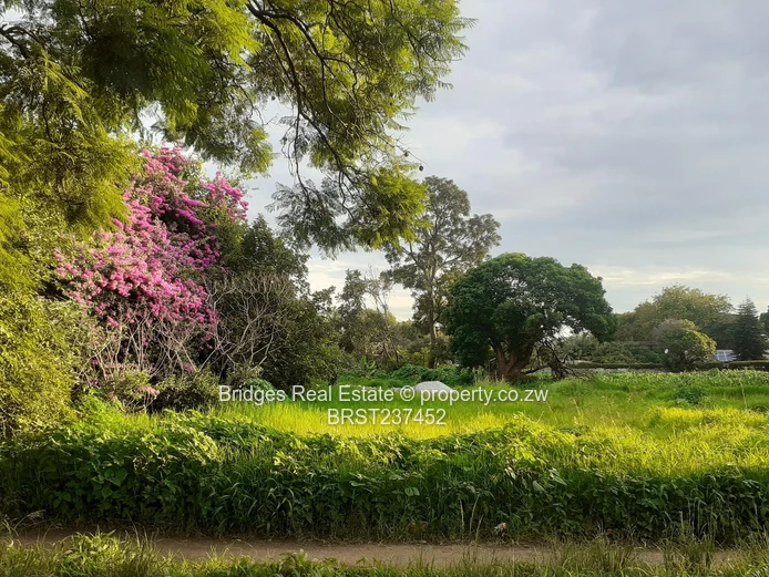 Property Development 101! The stuff of dreams!