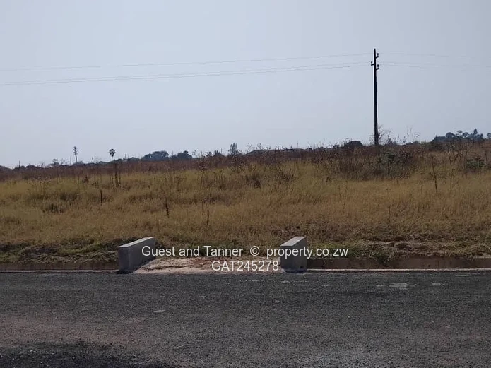 Ruwa Athelney Stands For Sale