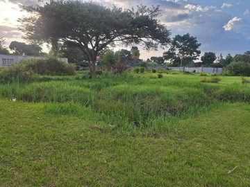 Stands & Residential Land