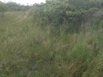 Farm & Agricultural Land