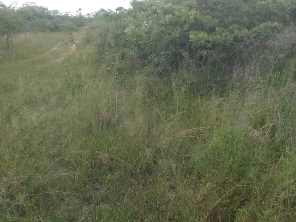 Farm & Agricultural Land