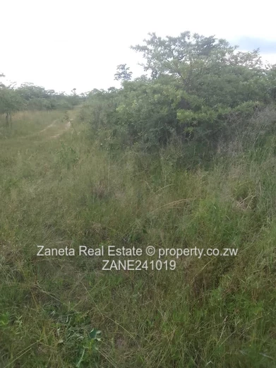 Beatrice Plot for sale