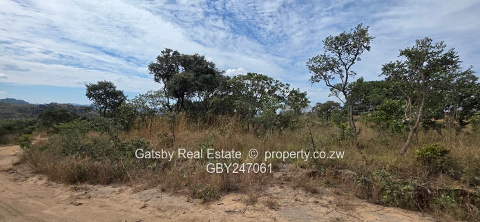 Residential stand with Certificate of Registered title