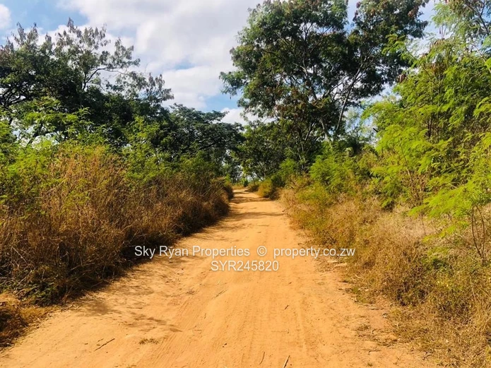 Bindura Poperty For Sale