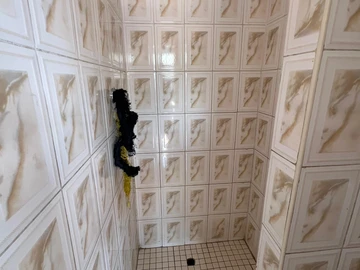 Farm & Agricultural Land