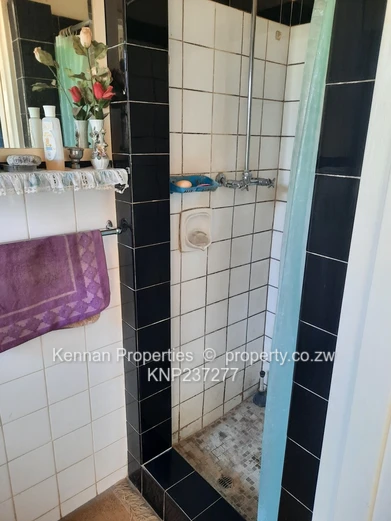 Large Stand with Small House and Good Water- Ripe for Development