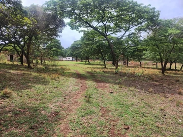 Farm & Agricultural Land