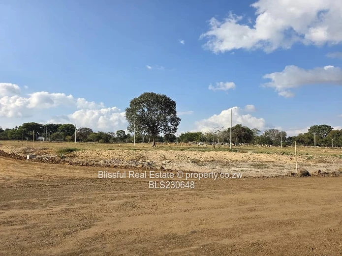 Hatfield stand for sale