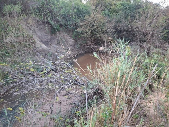 Plots with a river