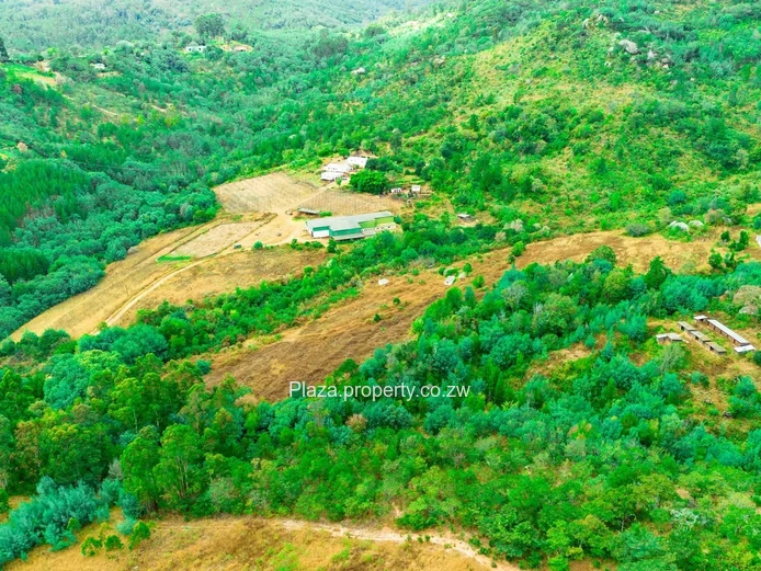 8,188 m² Juliasdale Stand — Secluded Hillside Views