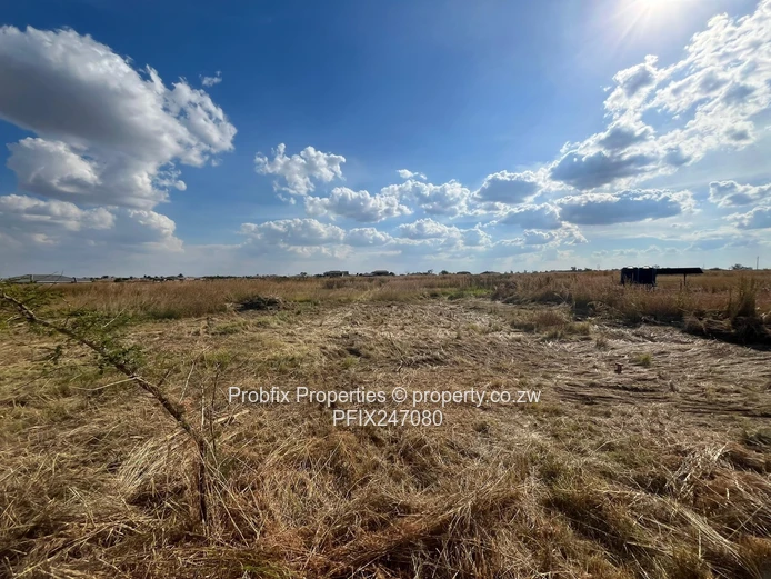 Fully serviced residential stands for sale in Haydon Park (Gated Community)