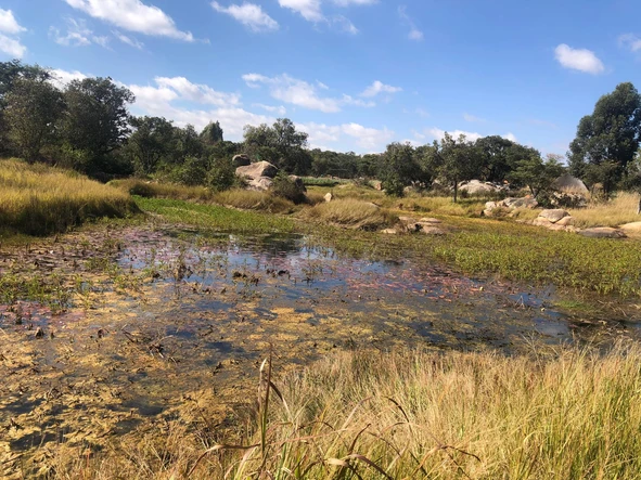 Farm & Agricultural Land