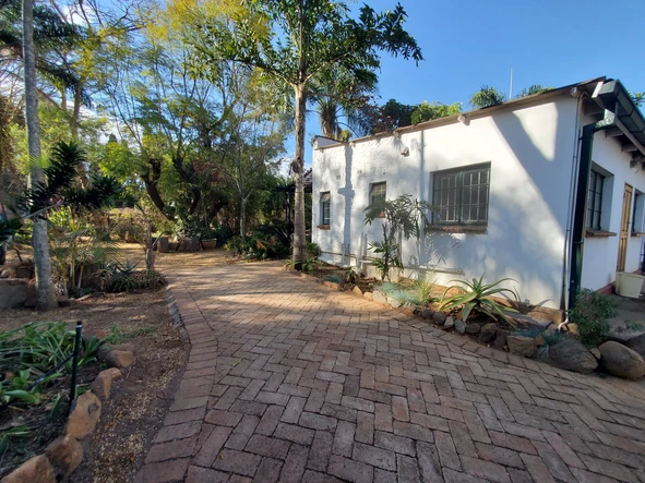 Garden Flat