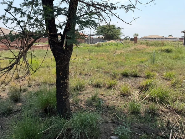 Stands & Residential Land