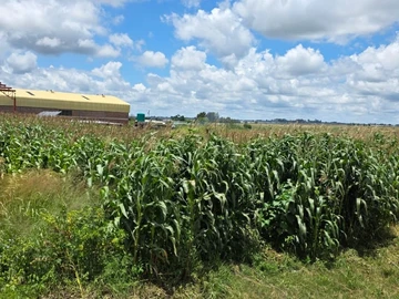 Commercial & Industrial Land