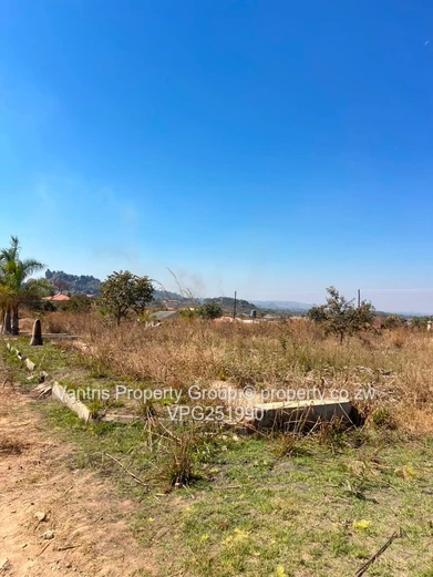 Palm village stands for sale !!!!