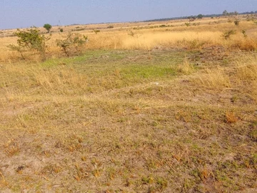 Commercial & Industrial Land