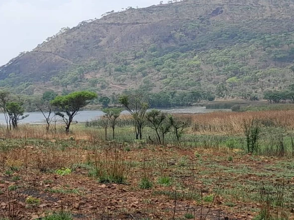 Farm & Agricultural Land