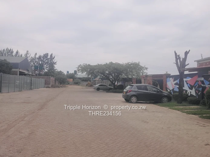 Investment Opportunity 