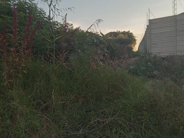 Commercial & Industrial Land