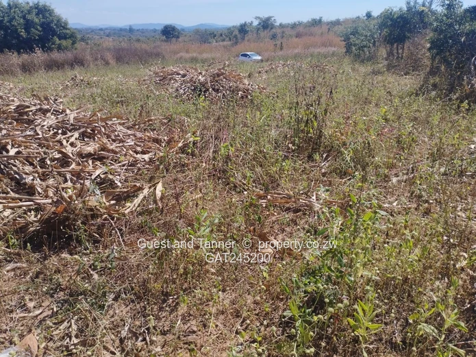 Residential Land For Sale In Buckland Terraces Estate Pomona