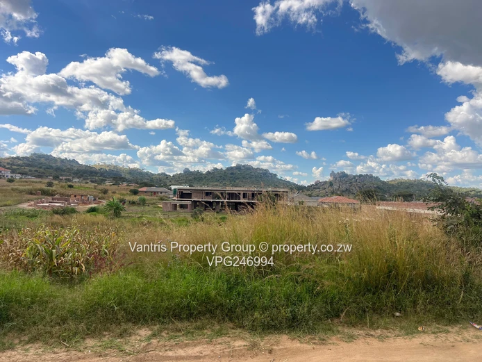 Palm village stands for sale !! 