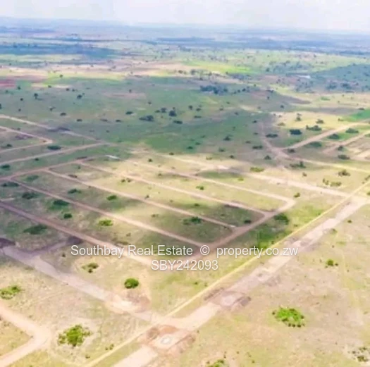 Investment Opportunity