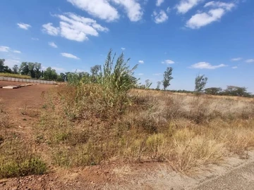 Commercial & Industrial Land