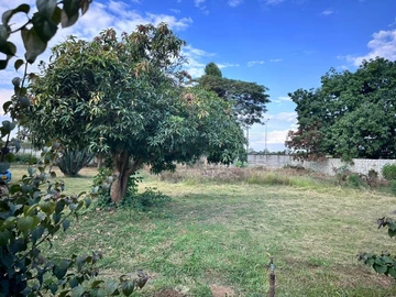 Commercial & Industrial Land