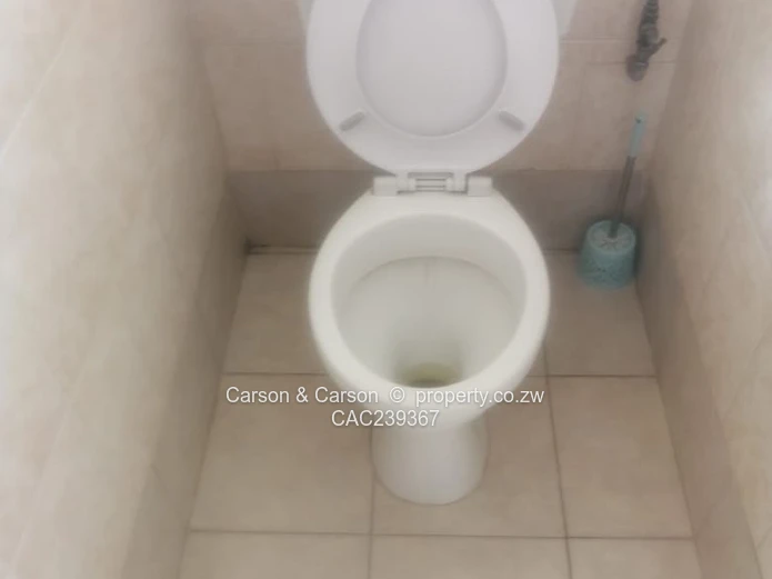 Immediately Available