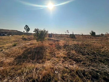 Stands & Residential Land