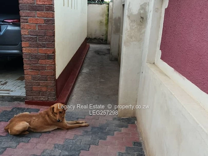 4BR Budiriro Home - Borehole, Modern Kitchen & Driveway