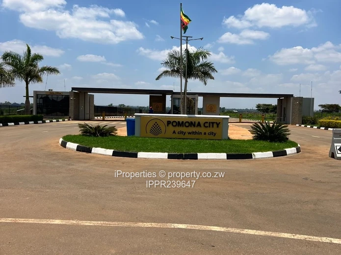 Discover a City Within a City