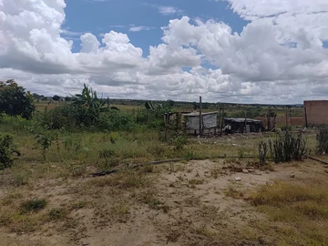 Farm & Agricultural Land