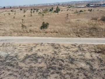 Farm & Agricultural Land