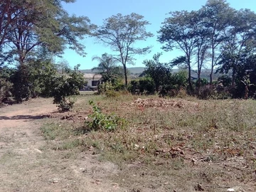 Farm To Let
