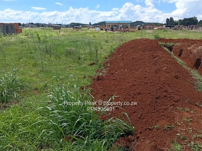 Tynwald Stand For Sale
