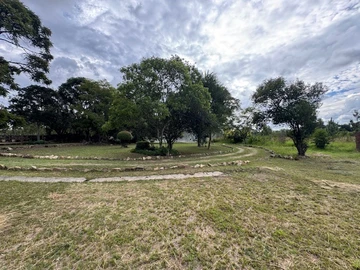 Farm & Agricultural Land